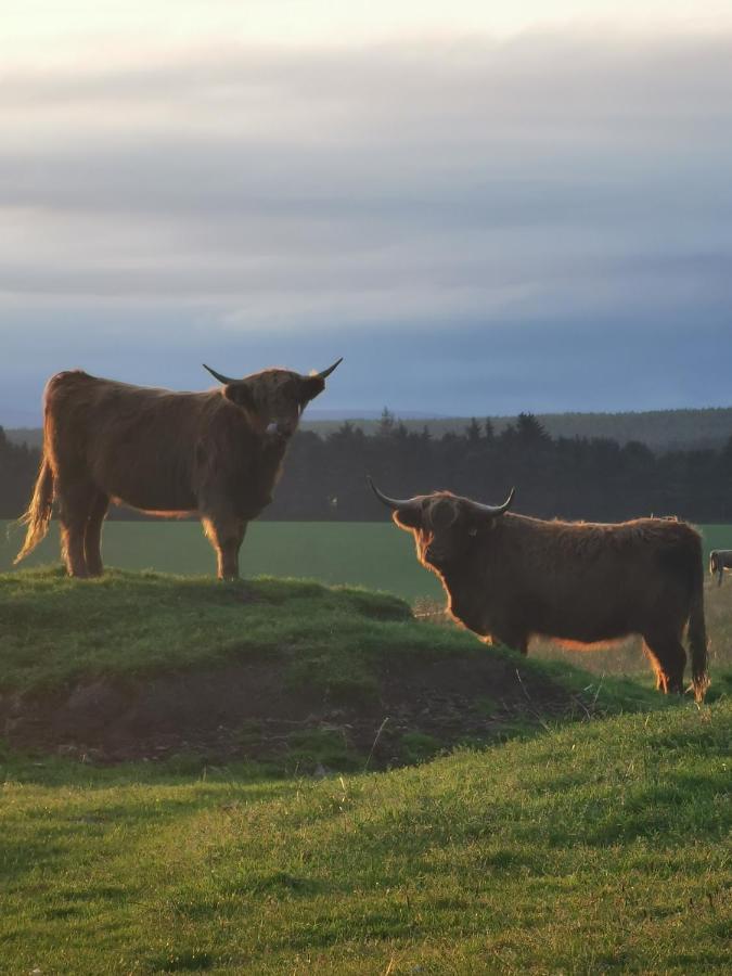 Hillhaven Bed &Breakfast Bed and Breakfast Fortrose Buitenkant foto