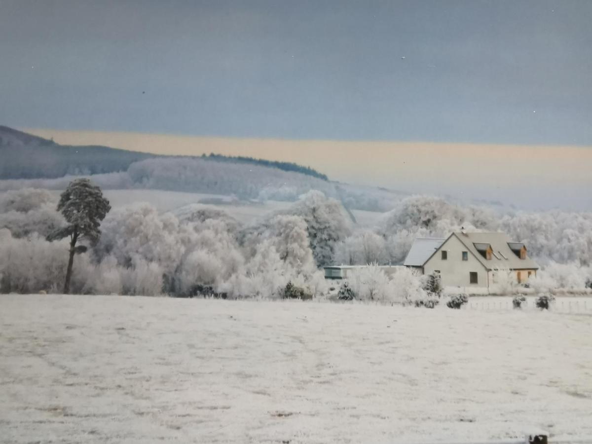 Hillhaven Bed &Breakfast Bed and Breakfast Fortrose Buitenkant foto