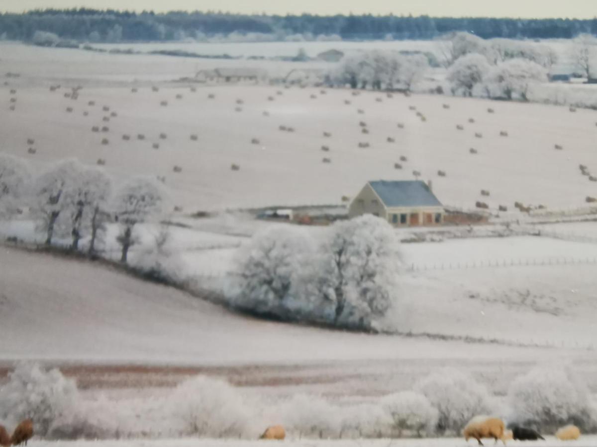 Hillhaven Bed &Breakfast Bed and Breakfast Fortrose Buitenkant foto